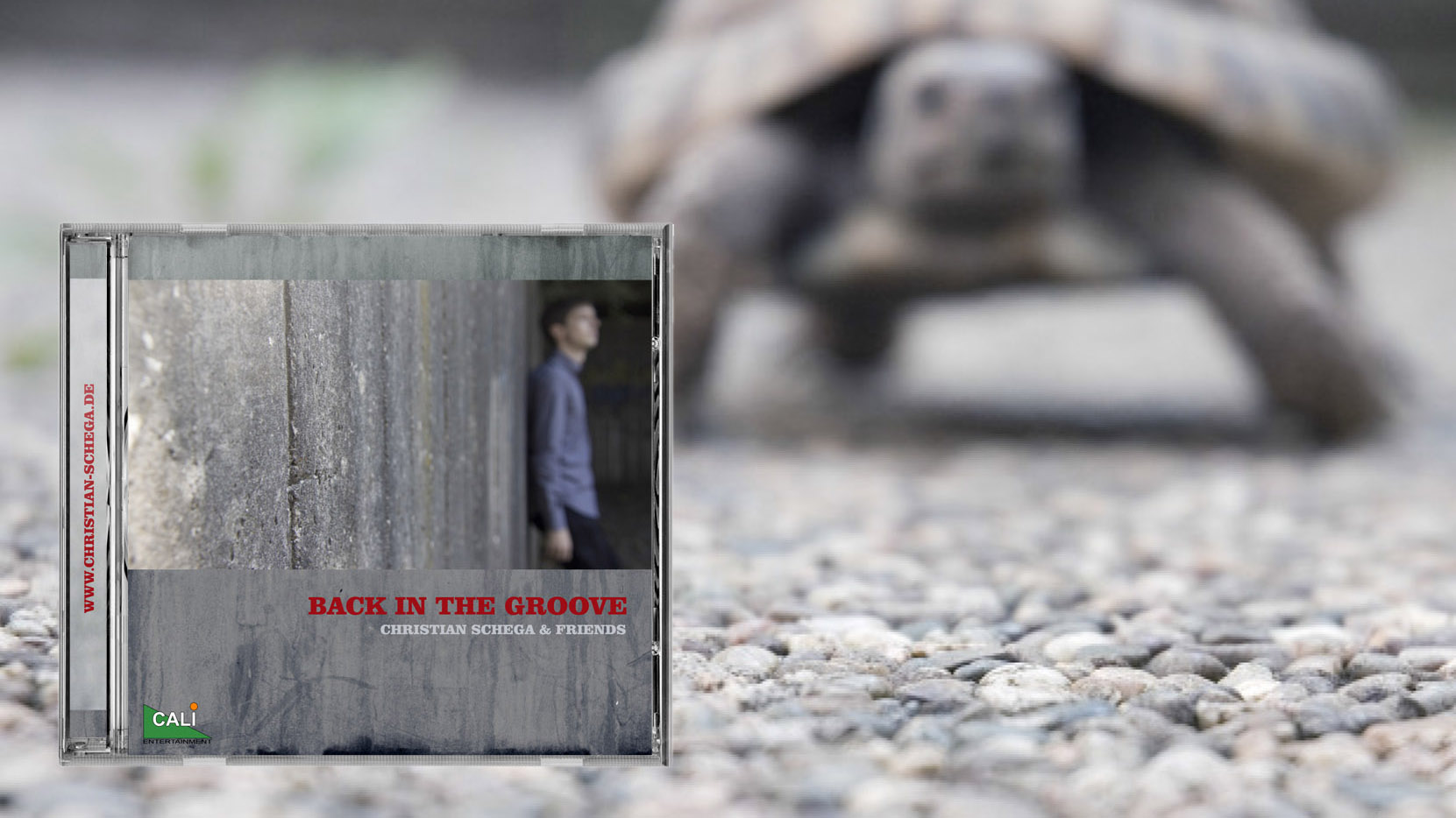 Back In The Groove (2009) Titelbild Back In The Groove (2009)